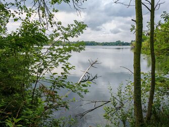 IMG_20250707_100350.jpg