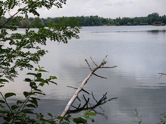 IMG_20250707_100353.jpg