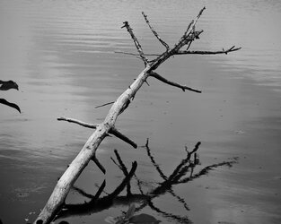 IMG_20250707_100407.jpg