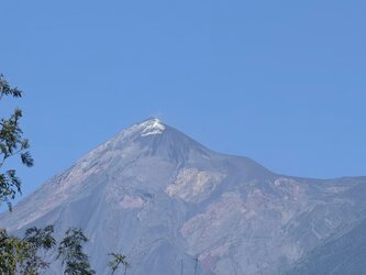 IMG_20250717_090917.jpg