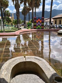 IMG_20250717_140649.jpg