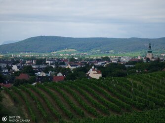 IMG_20250718_100555.jpg