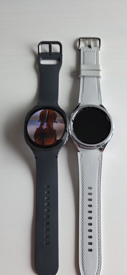 20250718_112857.jpg