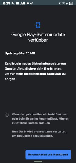 Screenshot_20250718_153431_Google Play Store.jpg