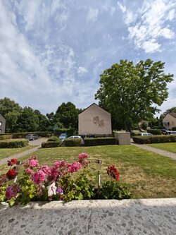 IMG_20250718_153128288.jpg