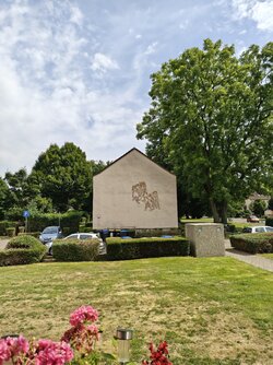 IMG_20250718_153156836.jpg