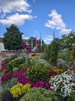 Gcam2 20250718_184906675.jpg