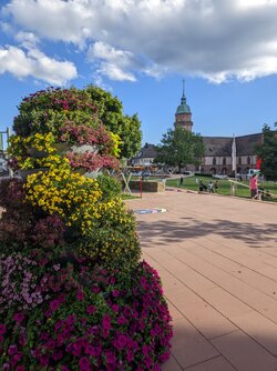 Gcam2 20250718_184525934.jpg