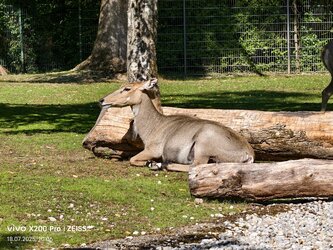 IMG_20250718_100654.jpg
