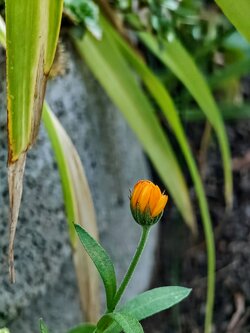 IMG20250718203230~2.jpg