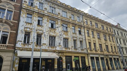 20250718_114503.jpg
