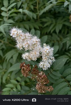 IMG_20250716_204339.jpg