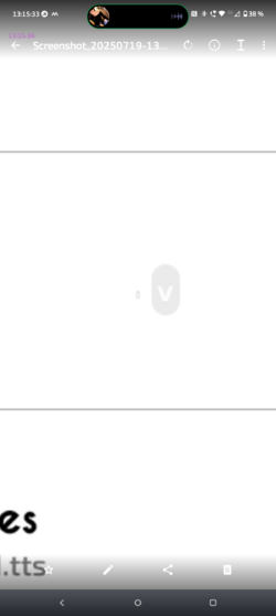 Screenshot_20250719-131534.Galerie.png