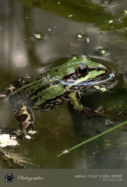 IMG_20250719_100829.jpg
