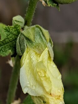 IMG20250719173248~2.jpg