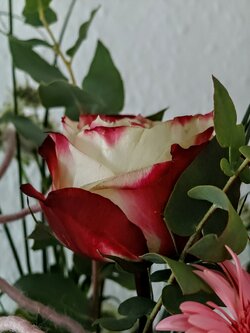 IMG20250719171506~2.jpg