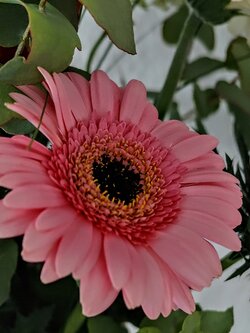 IMG20250719171516~2.jpg