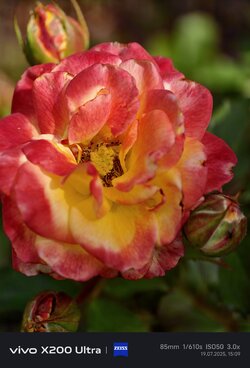 IMG_20250719_150912.jpg