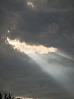 IMG_20250719_185405.jpg