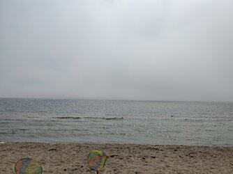 IMG_20250718_105744.jpg