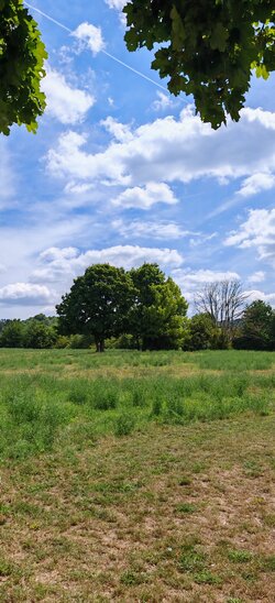 IMG_20250718_123557.jpg