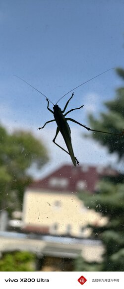 IMG_20250720_121950.jpg
