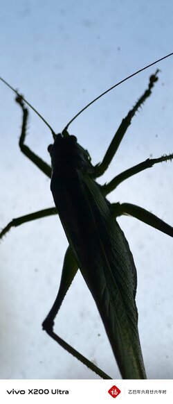IMG_20250720_121955.jpg