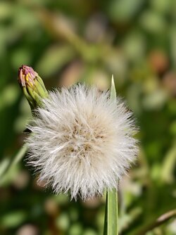 IMG_20250719_120251.jpg
