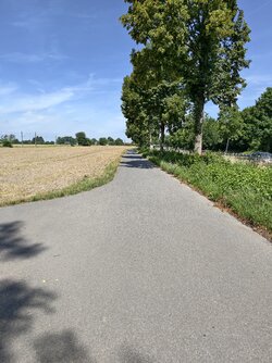 IMG_20250719_115640.jpg