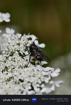 IMG_20250720_135315.jpg