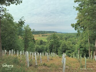 IMG_20250712_093348_763.jpg
