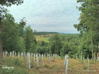 IMG_20250712_093352_821.jpg
