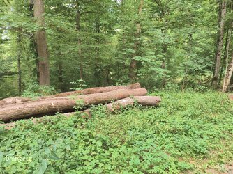 IMG_20250712_093855_935.jpg