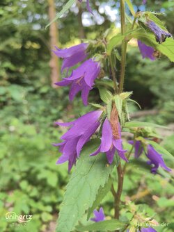 IMG_20250712_095854_431.jpg