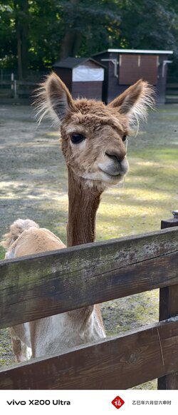 IMG_20250720_165116_051548.jpg