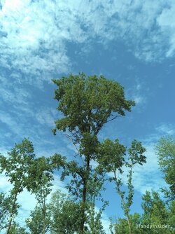 IMG_20250712_101804_174.jpg