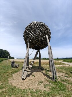 IMG20250720131944.jpg