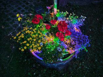 20250720-213607-011HX5.jpg