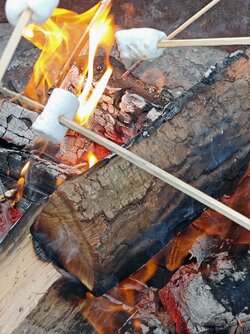 IMG_20250718_203131.jpg