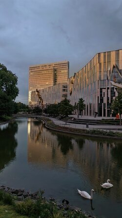 IMG_20250720_214630.jpg