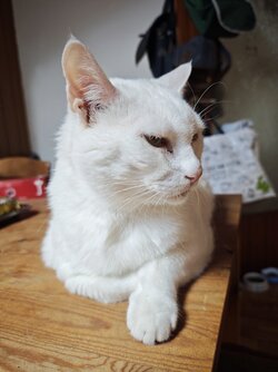 IMG_20250717_135014.jpg