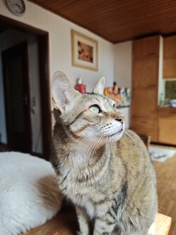 IMG_20250718_152038.jpg
