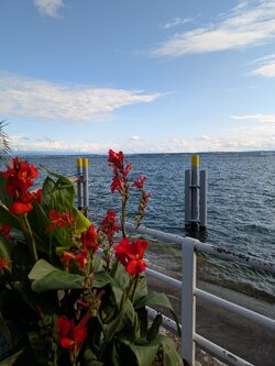 PXL_20250708_162423869.jpg