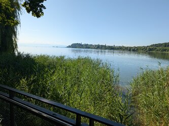 PXL_20250710_075759225.jpg