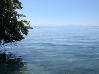 PXL_20250710_081722264.jpg