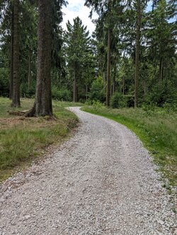 PXL_20250713_110036984.jpg