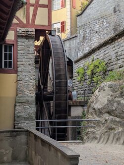 PXL_20250708_175604624.jpg