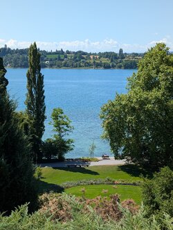 PXL_20250710_094235829.jpg