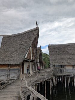 PXL_20250709_091345252.jpg