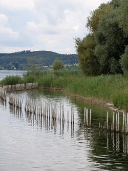 PXL_20250709_091612364.jpg